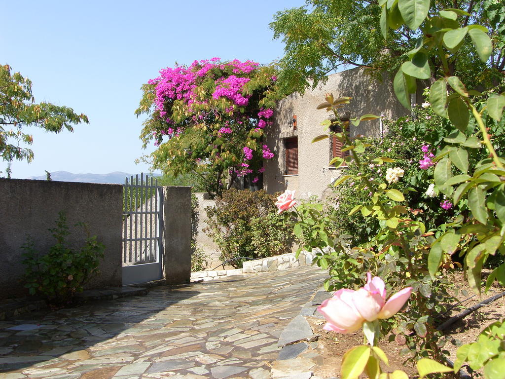 Mavrovoúnion Cavo Grosso Bungalows الغرفة الصورة